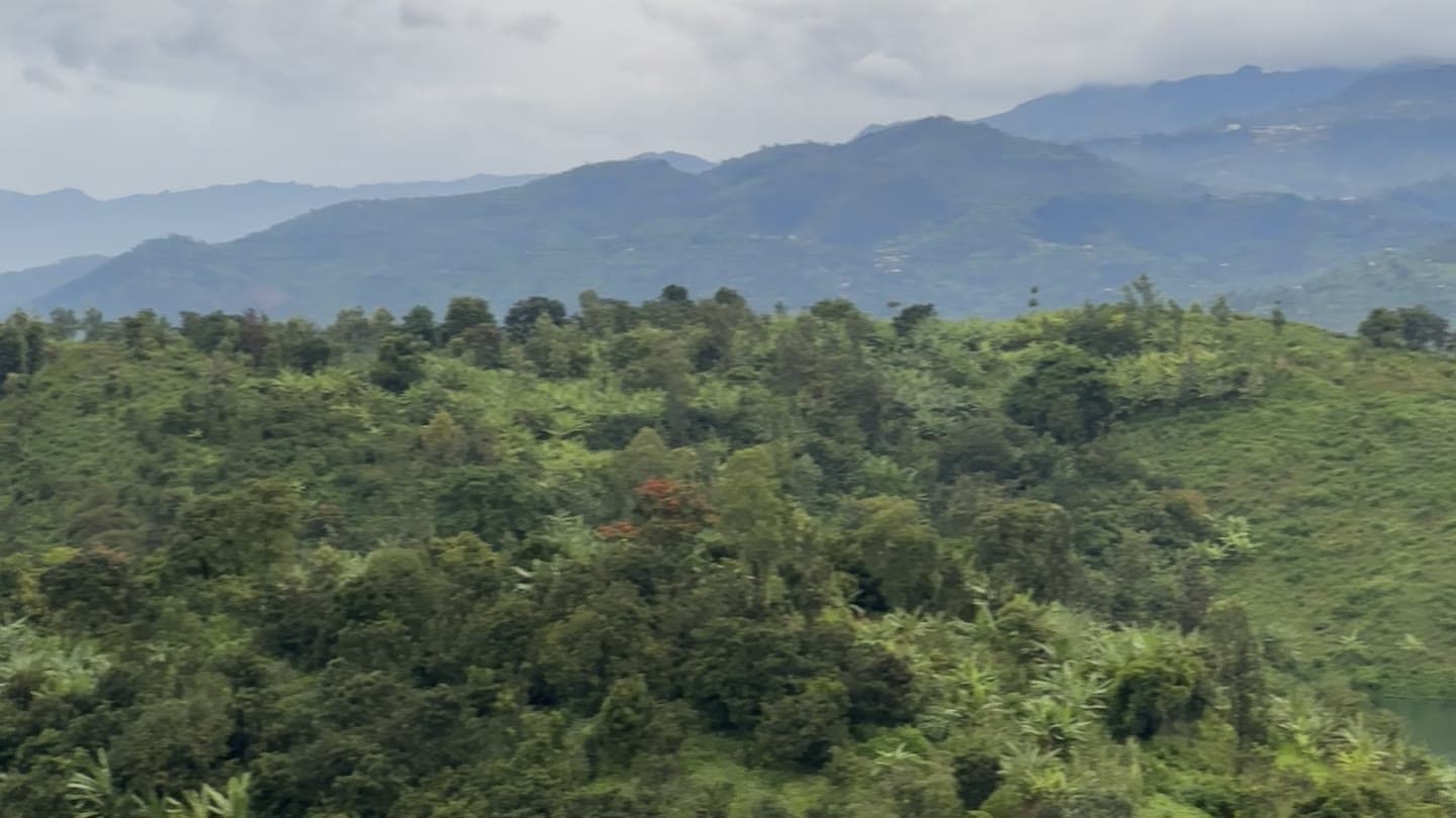 Forested hills above Lake Kivu, with mountain ridges receding into a clouded sky